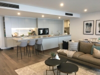 Apartment Living Area and Kitchen