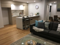 Apartment Living Area & Kitchen