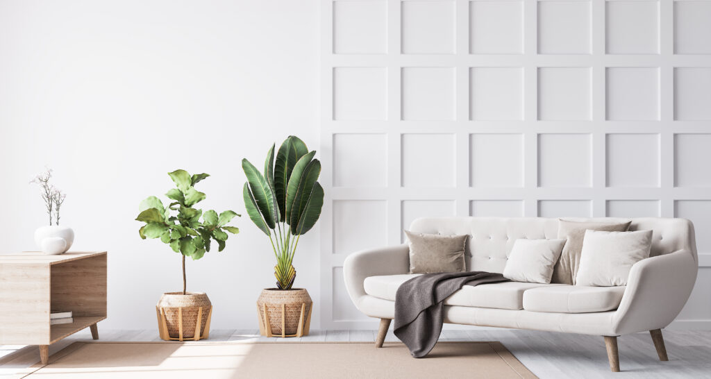 home stage with Furniture Fitouts today! 